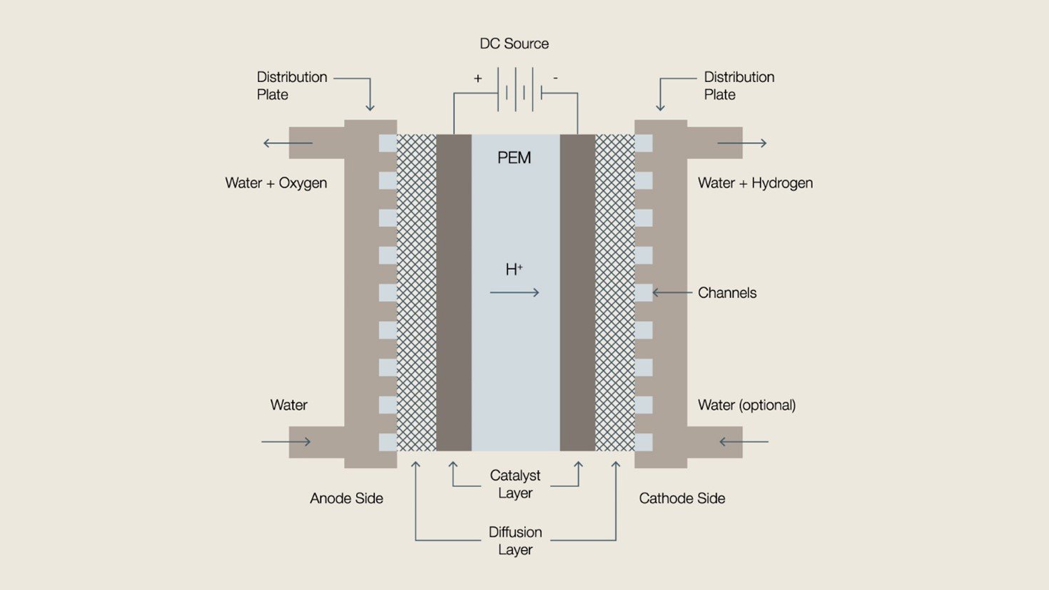 Diagram of a typical PEM electrolysis cell