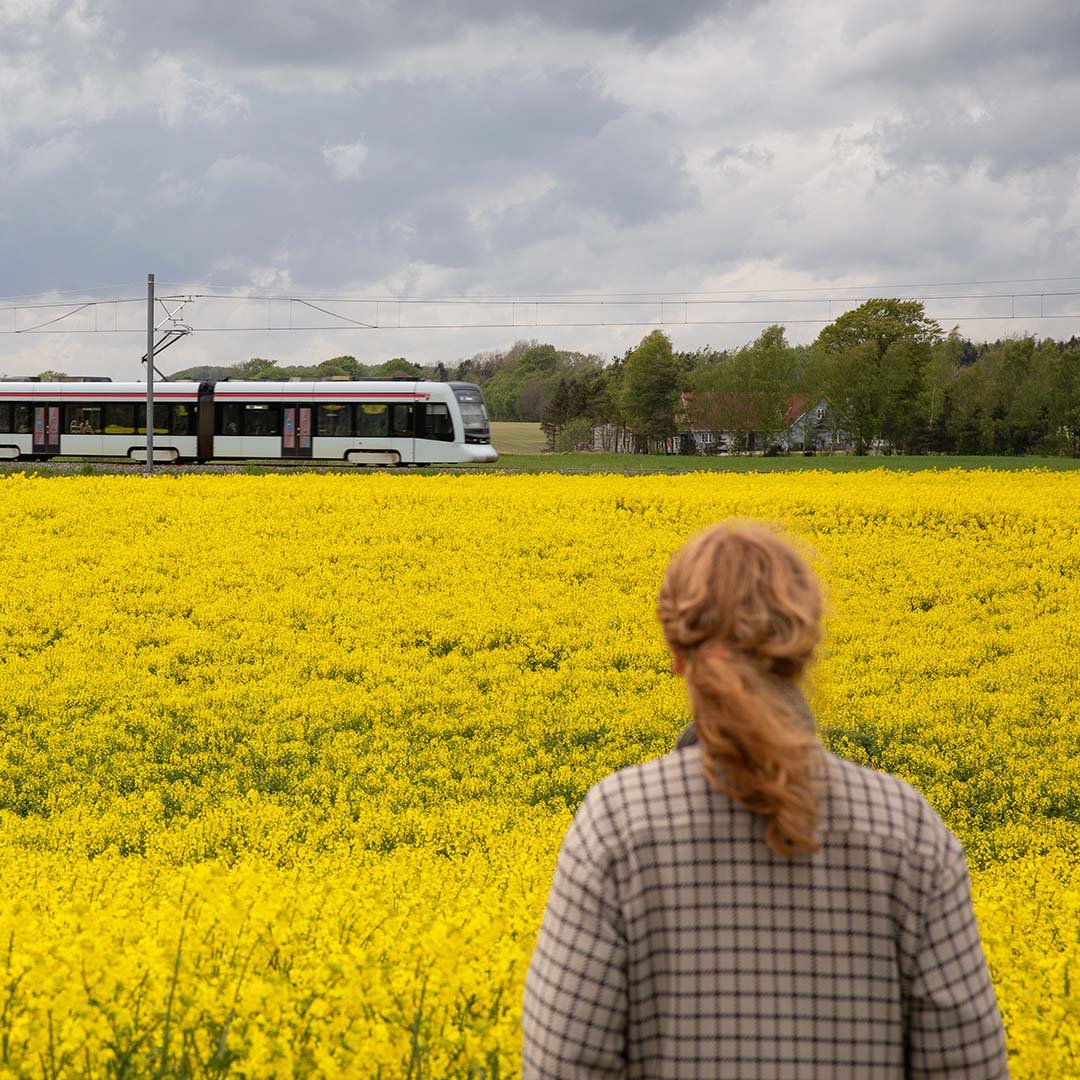 Woman in red hair is looking at a train over a yellow field