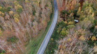 Road surounded by autumnal forest from above