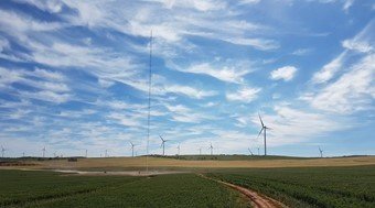 wind farm mills in fields